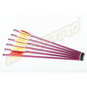 ADVANCE GROUP ALUMINIUM CROSSBOW BOLTS 14 INCHES - 6 PCS