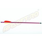 ADVANCE GROUP DARDI PER BALESTRA IN ALLUMINIO 14 POLLICI - 6 PZ