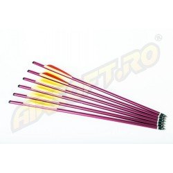 ADVANCE GROUP ALUMINIUM CROSSBOW BOLTS 16 INCHES - 6 PCS