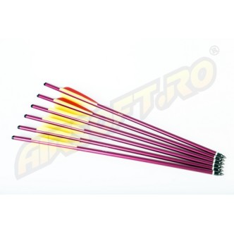 ADVANCE GROUP ALUMINIUM CROSSBOW BOLTS 16 INCHES - 6 PCS