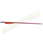 ADVANCE GROUP DARDI PER BALESTRA IN ALLUMINIO 16 POLLICI - 6 PZ