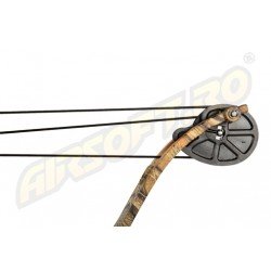 ARC MODEL COMPOUND DIN FIBRA DE STICLA - CAMO