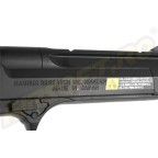 DESERT EAGLE AEP