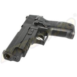 P226 RAIL