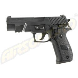 P226 RAIL