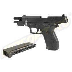 P226 RAIL