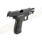 P226 RAIL