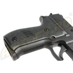 P226 RAIL