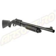 Shotgun