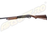 Shotgun gaz