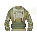 CENTURA MOLLE GEN 2 - OD