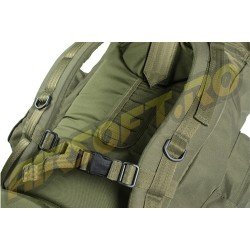 RUCSAC MODEL RECON - OLIV