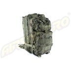 ASSAULT BACKPACK - WOODLAND