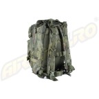 ASSAULT BACKPACK - WOODLAND