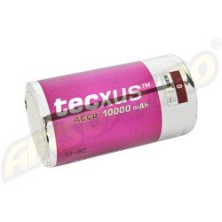 TECXUS D RECHARGEABLE BATTERY (R20) 10.000 mAh