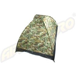 CORT STANDARD - MULTICAM