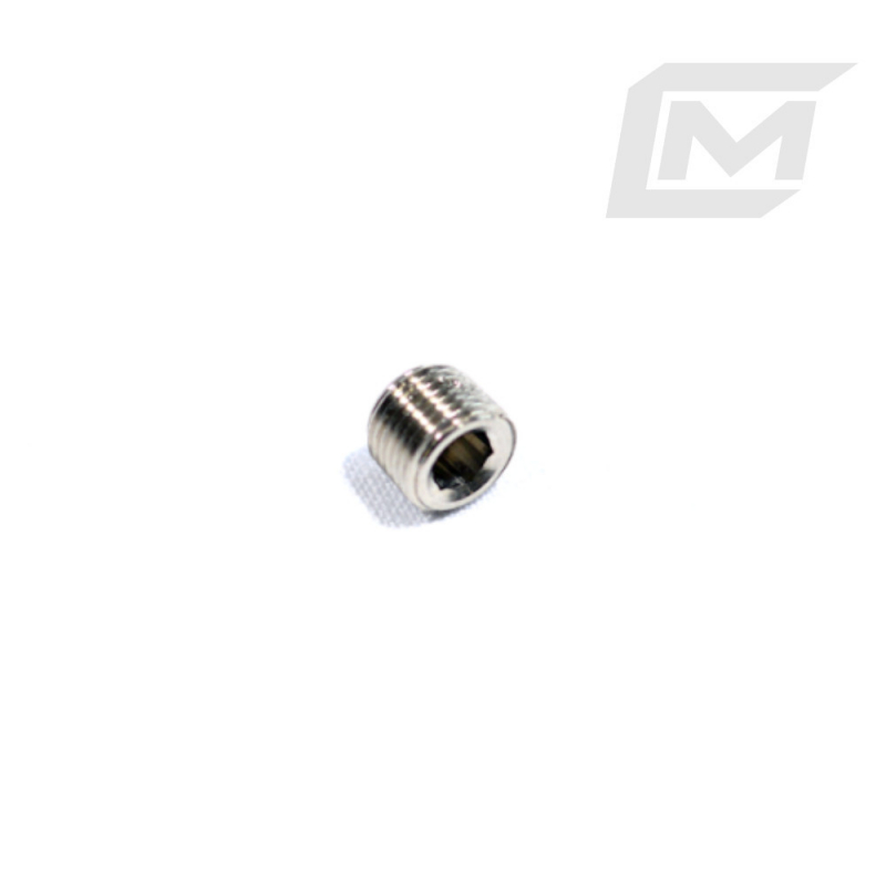 SEALING PLUG 1/8" NPT
