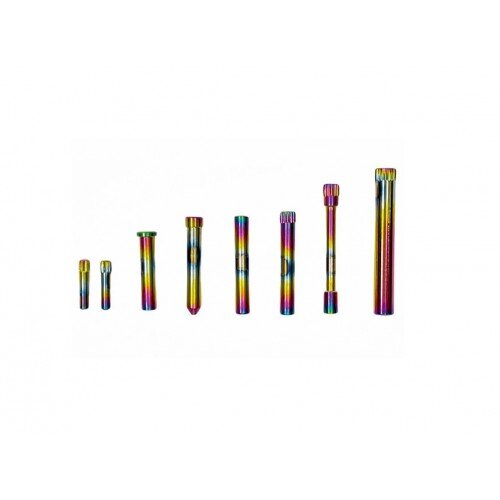 CTM AAP-01 STAINLESS STEEL PIN SET - ELECTROPLATED CHAMELEON