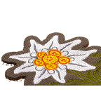 PATCH EDELWEISS - COLOR