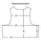 VESTA - PLATE CARRIER ENFORCER RELEASABLE - COYOTE BROWN