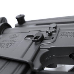 AMBI MAG CATCH - CUSTOM - M4