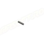 PLANETARY GEAR SHAFT PENTRU PTW - SET DE 4 BUC.