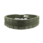WARRIOR ASSAULT SYSTEMS LOW PROFILE MOLLE BELT - OD GREEN - WITH PLASTIC COBRA BELT